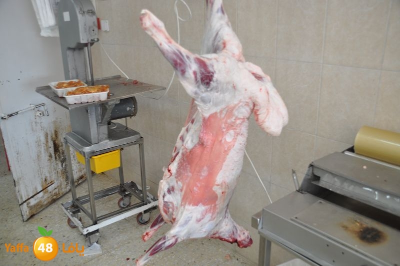 mal7amat el balad (17).JPG